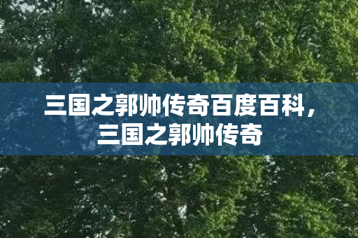 三国之郭帅传奇百度百科，三国之郭帅传奇