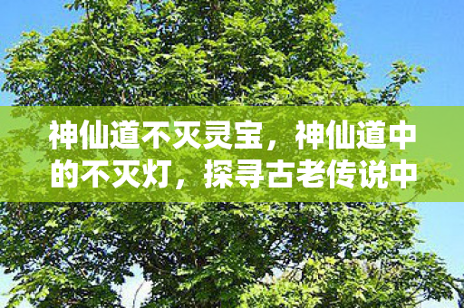 神仙道不灭灵宝，神仙道中的不灭灯，探寻古老传说中的神秘力量