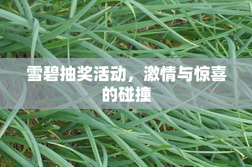雪碧抽奖活动，激情与惊喜的碰撞