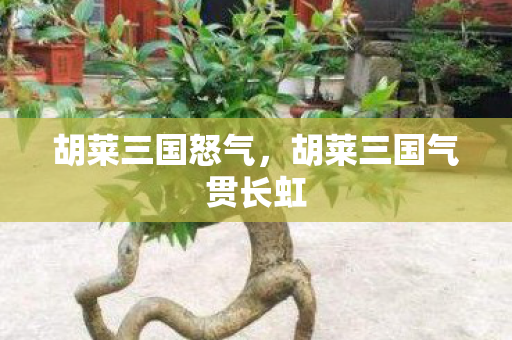 胡莱三国怒气，胡莱三国气贯长虹