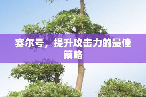 赛尔号，提升攻击力的最佳策略