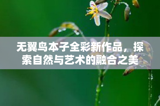 无翼鸟本子全彩新作品，探索自然与艺术的融合之美