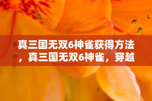 真三国无双6神雀获得方法，真三国无双6神雀，穿越时空的传奇战将