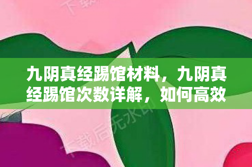 九阴真经踢馆材料，九阴真经踢馆次数详解，如何高效提升实力与声望