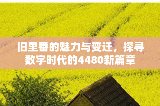旧里番的魅力与变迁，探寻数字时代的4480新篇章