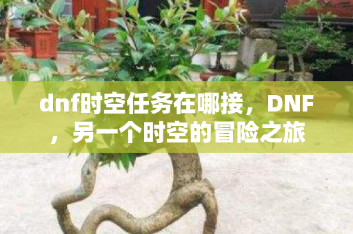 dnf时空任务在哪接，DNF，另一个时空的冒险之旅