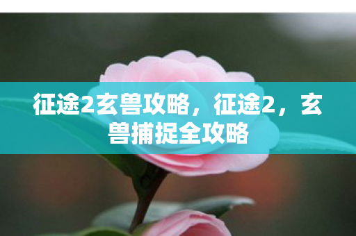 征途2玄兽攻略,征途2,玄兽捕捉全攻略 征途2玄兽攻略,征途2,玄兽捕捉全攻略