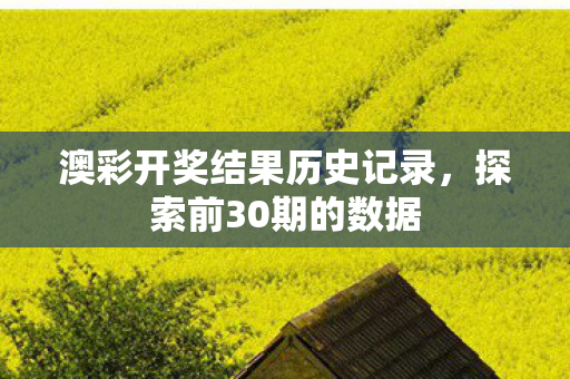 澳彩开奖结果历史记录，探索前30期的数据
