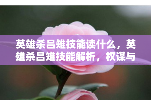 英雄杀吕雉技能读什么，英雄杀吕雉技能解析，权谋与狠辣的双重奏