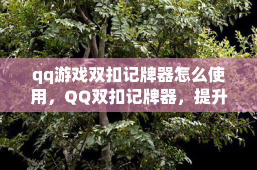 qq游戏双扣记牌器怎么使用，QQ双扣记牌器，提升牌技的必备神器