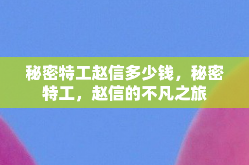 秘密特工赵信多少钱，秘密特工，赵信的不凡之旅