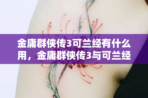 金庸群侠传3可兰经有什么用，金庸群侠传3与可兰经的跨界对话，武侠与信仰的奇妙融合