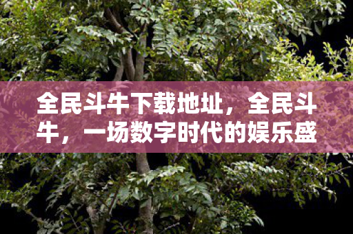 全民斗牛下载地址，全民斗牛，一场数字时代的娱乐盛宴