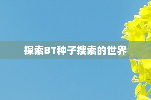 探索BT种子搜索的世界