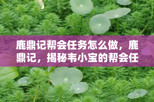 鹿鼎记帮会任务怎么做，鹿鼎记，揭秘韦小宝的帮会任务