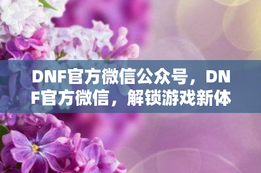 DNF官方微信公众号，DNF官方微信，解锁游戏新体验，与勇士同行