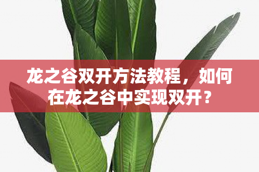 龙之谷双开方法教程，如何在龙之谷中实现双开？