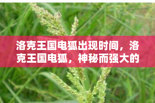 洛克王国电狐出现时间，洛克王国电狐，神秘而强大的存在