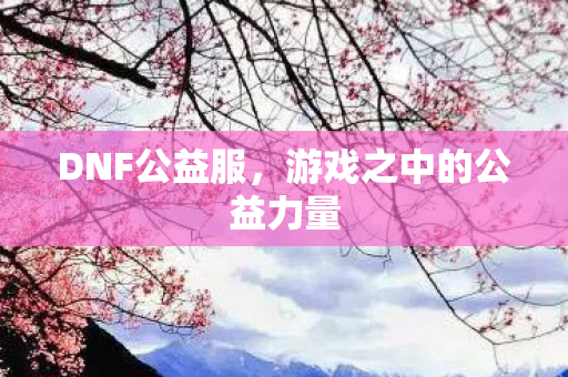 DNF公益服，游戏之中的公益力量
