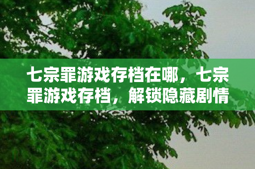 七宗罪游戏存档在哪，七宗罪游戏存档，解锁隐藏剧情与神秘结局的钥匙