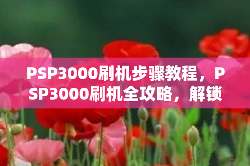 PSP3000刷机步骤教程，PSP3000刷机全攻略，解锁游戏新世界的钥匙