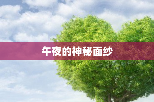 午夜的神秘面纱
