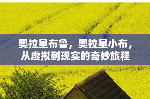 奥拉星布鲁，奥拉星小布，从虚拟到现实的奇妙旅程