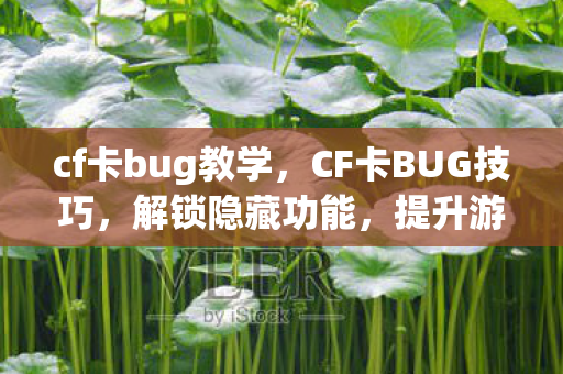 cf卡bug教学，CF卡BUG技巧，解锁隐藏功能，提升游戏竞技水平