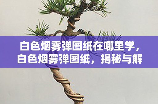 白色烟雾弹图纸在哪里学，白色烟雾弹图纸，揭秘与解析