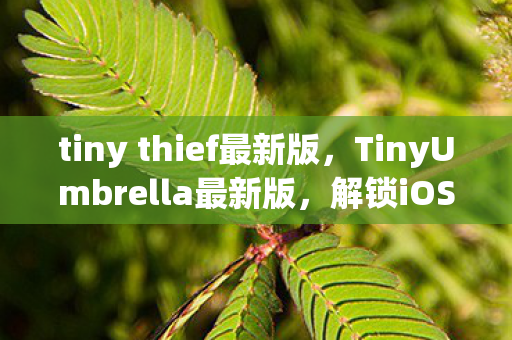 tiny thief最新版，TinyUmbrella最新版，解锁iOS设备的终极工具