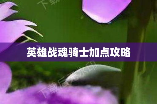英雄战魂骑士加点攻略