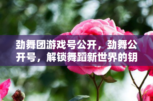 劲舞团游戏号公开，劲舞公开号，解锁舞蹈新世界的钥匙