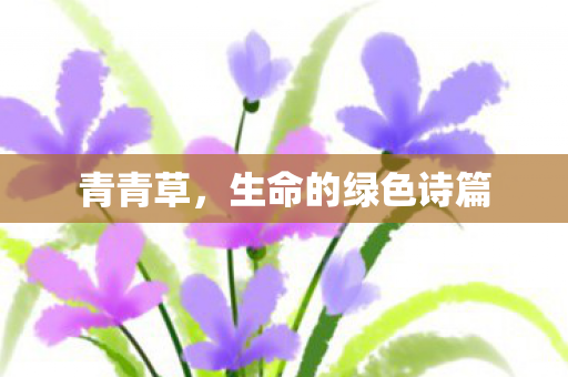 青青草，生命的绿色诗篇