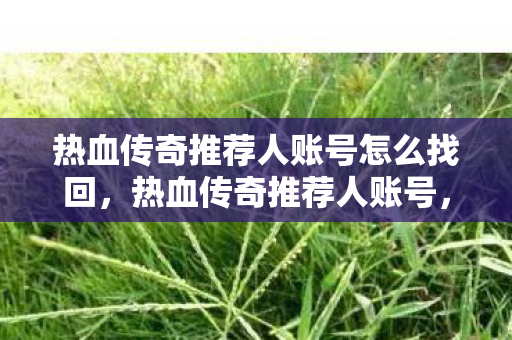 热血传奇推荐人账号怎么找回，热血传奇推荐人账号，传奇之路的引路人