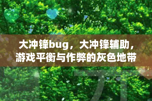 大冲锋bug，大冲锋辅助，游戏平衡与作弊的灰色地带