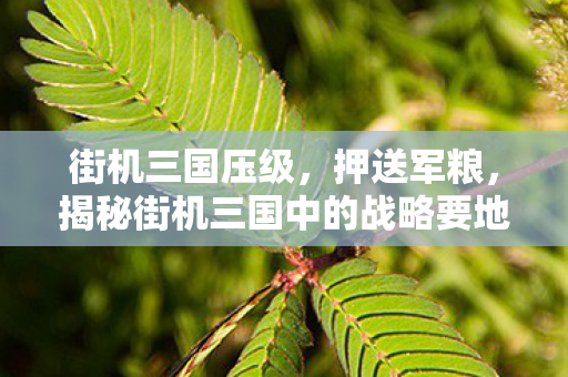 街机三国压级，押送军粮，揭秘街机三国中的战略要地