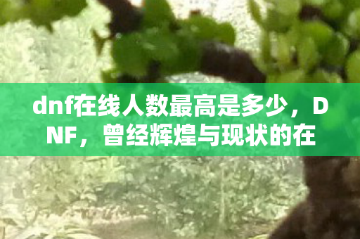 dnf在线人数最高是多少，DNF，曾经辉煌与现状的在线人数分析