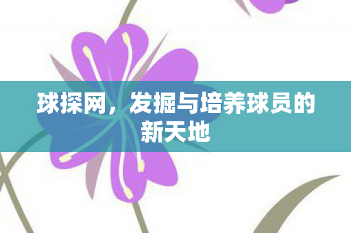 球探网，发掘与培养球员的新天地