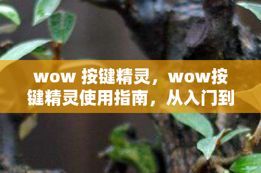 wow 按键精灵，wow按键精灵使用指南，从入门到进阶