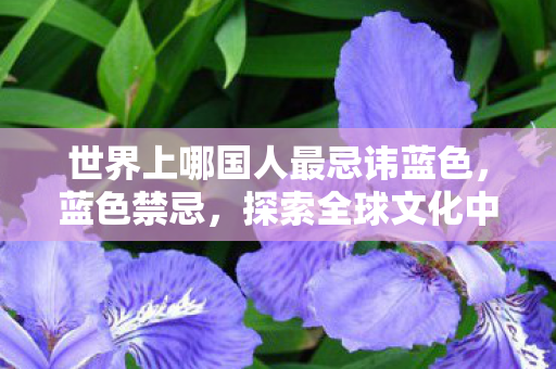 世界上哪国人最忌讳蓝色,蓝色禁忌,探索全球文化中的色彩禁忌 世界上哪国人最忌讳蓝色,蓝色禁忌,探索全球文化中的色彩禁忌