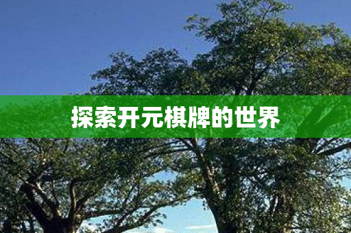 探索开元棋牌的世界