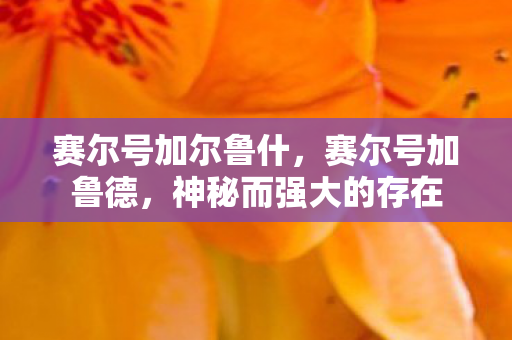 赛尔号加尔鲁什，赛尔号加鲁德，神秘而强大的存在