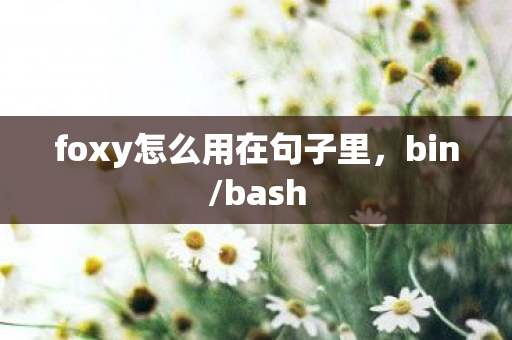 foxy怎么用在句子里，bin/bash