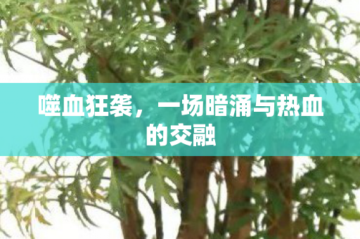 噬血狂袭,一场暗涌与热血的交融 噬血狂袭,一场暗涌与热血的交融