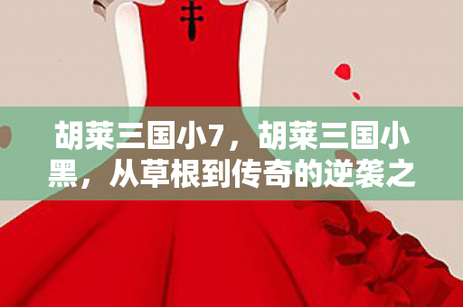 胡莱三国小7，胡莱三国小黑，从草根到传奇的逆袭之路