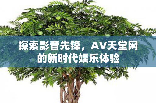 探索影音先锋，AV天堂网的新时代娱乐体验