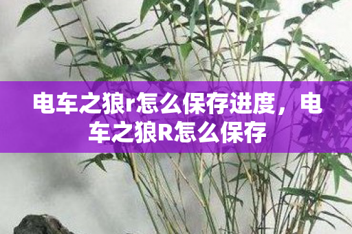电车之狼r怎么保存进度，电车之狼R怎么保存