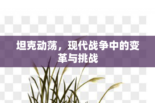 坦克动荡,现代战争中的变革与挑战 坦克动荡,现代战争中的变革与挑战