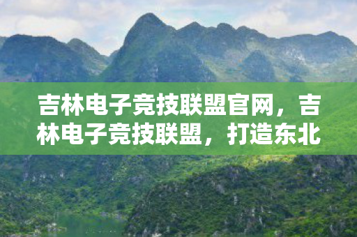 吉林电子竞技联盟官网，吉林电子竞技联盟，打造东北电竞新名片