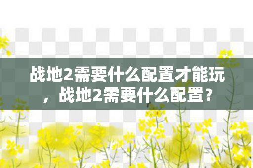 战地2需要什么配置才能玩，战地2需要什么配置？